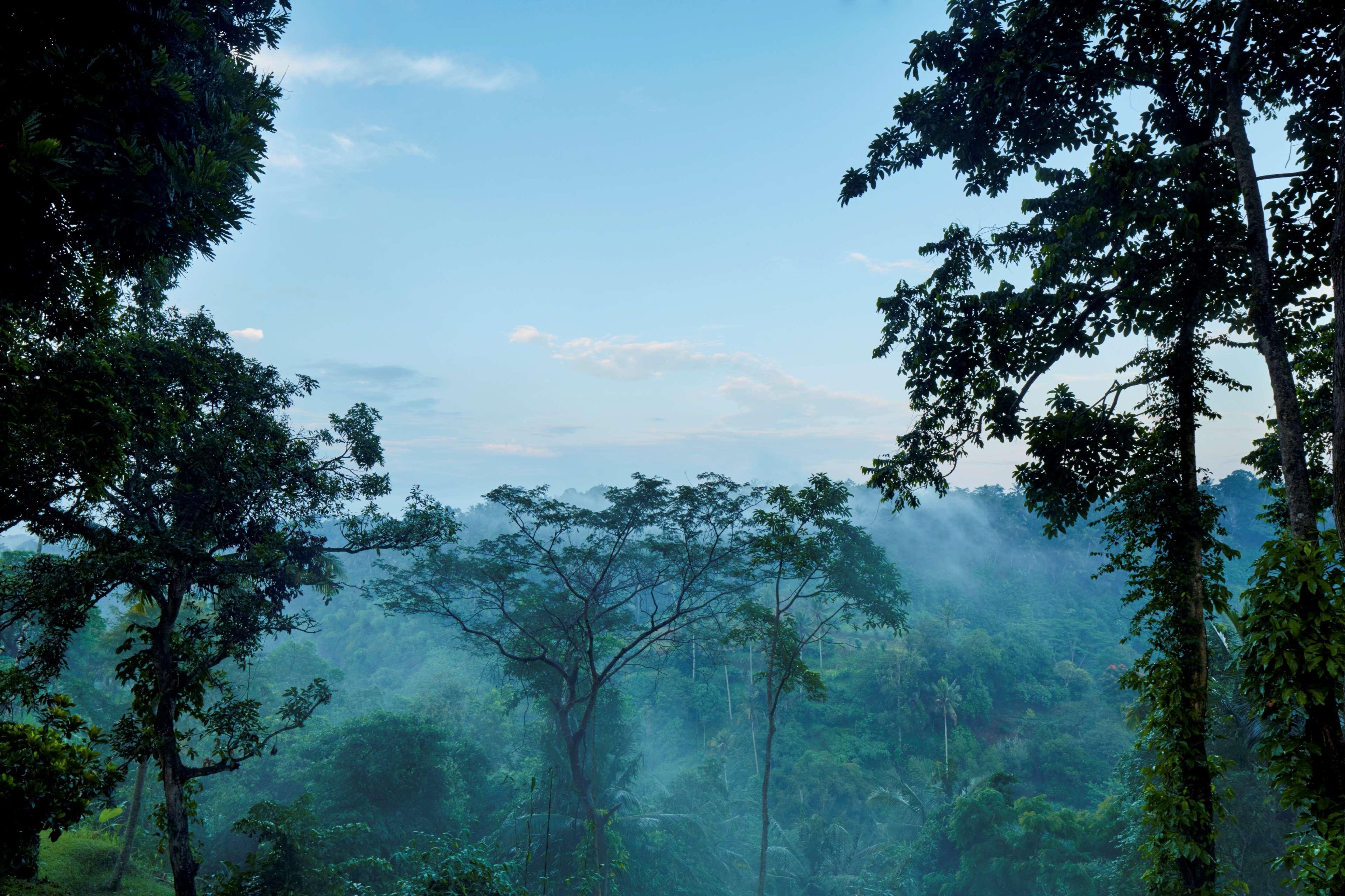 Amandari Hotell Ubud Eksteriør bilde